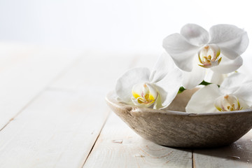fragrance still life with pure white orchids in stone cup