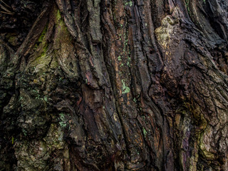 Background, texture