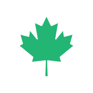 recommend clip art: Green maple leaf vector icon. Maple leaf clip art.