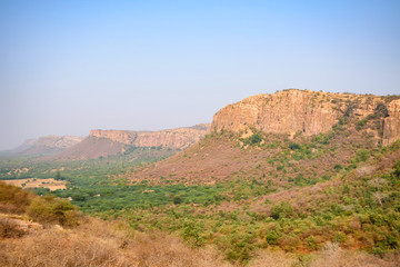 Landscape of Ranthambore, India. Lonely tree