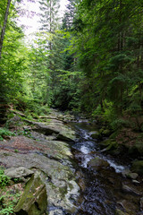 Горный ручей Украинских Карпат