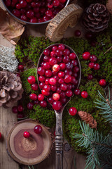  cranberry berries in a large spoon and moss © yakovlevadaria