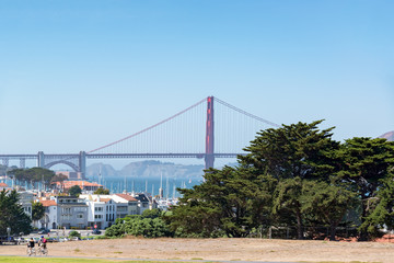Golden Gate Bridge and Trees