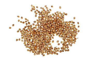 Coriander seeds isolated on white background, top view