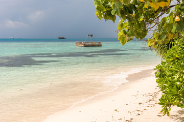 Fototapeta premium View of the sandy beach, Maldives, Indian Ocean. Copy space for text.