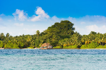 View of a tropical island with coconut palms on a sandy beach, Maldives, Indian ocean. Copy space for text.