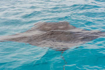 Fototapeta premium Ramp on the surface of water, Male, Republic of Maldives. Close-up.