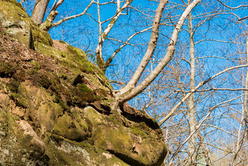 View of the rock covered with moss, Goryachy Klyuch, Russia. Copy space for text.