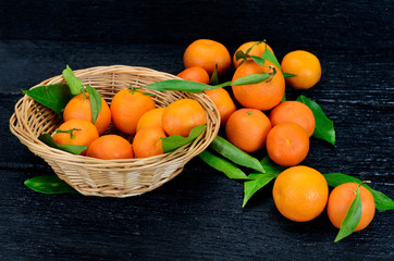 clementine on table
