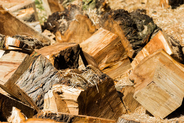 Wooden logs close-up in Goryachy Klyuch, Russia. Close-up.