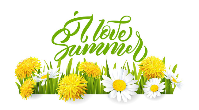 Summer poster with flowers and grass . Vector illustration