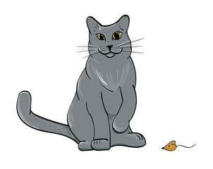 British Short Hair Cat presenting a mouse