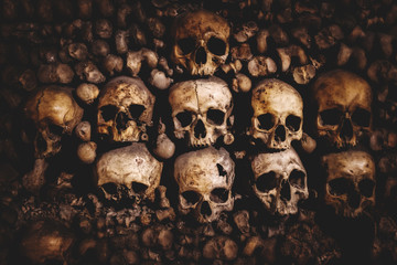 skulls and bones in Paris Catacombs - 183824382