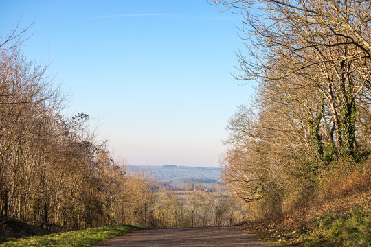 UK country lane