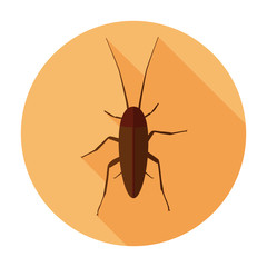 Cockroach icon flat