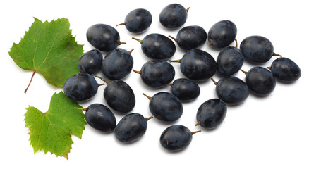 blue grapes berries with leaves isolated on white. top view