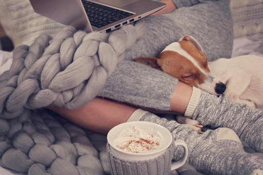 Cozy home, warm blanket, hot drink, movie night. Dog sleeping on female feet. Relax, carefree, comfort lifestyle.