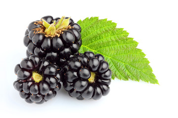 Fresh blackberries with leaf isolated.