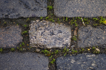 Paving stone