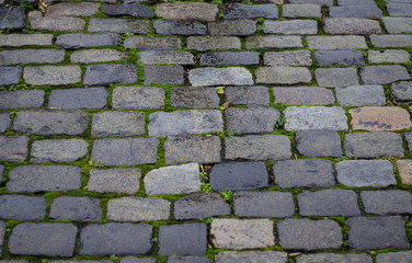 Paving and moss