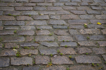 Paving stone