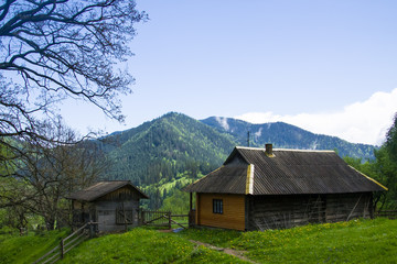 Fototapeta na wymiar cottage in ukrainian mountain village