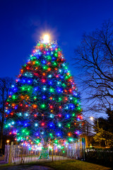 Colorful lights on a real outdoot Christmas tree.