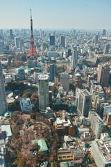 東京の景色