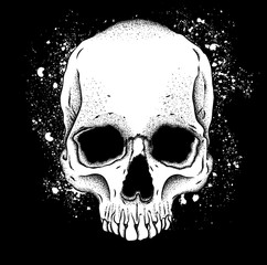 Portrait of a skull. Can be used for printing on T-shirts, flyers, etc. Vector illustration