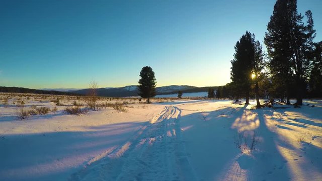 Winter landscape with cedar tree and mountains covered snow.
