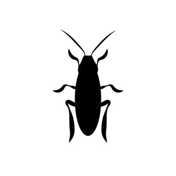cockroach a beetle contour. vector