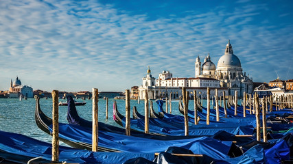 Italy. Venice. gondolas