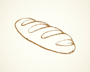 Loaf of long bread. Vector drawing
