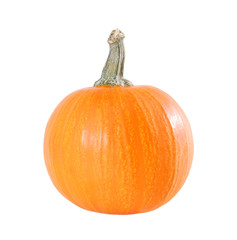 Big yellow pumpkin on a white background.