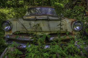 Abandoned Car Taken Over by Nature