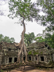 Fototapeta na wymiar Angkor Thom Temple