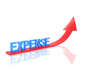 Expense Concept - 3D Rendered Image