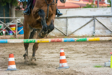 Front Horizontal View Of A Brown Horse Jumping The Obstacle