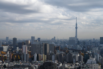 Fototapeta na wymiar 日本の東京都市景観・逆光と雲のある風景「台東区や墨田区方面などを望む」