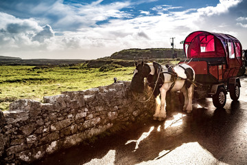 INIS MOR COUNTRYSIDE NO. 2 - 2016 © Terrance Alexander
