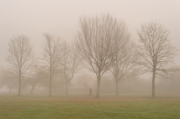 Walking in Fog