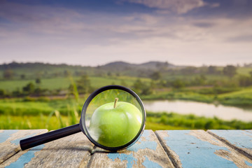 Magnifying glass and green apple on wooden table in the sunlight with  a blurred nature  background.