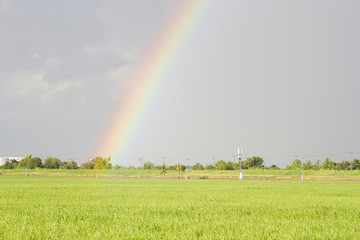 Rainbow with green pasture