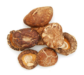 Dried mushrooms isolated on a white background