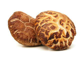 Dried mushrooms isolated on a white background
