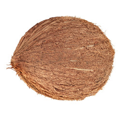  brown coconut on white background