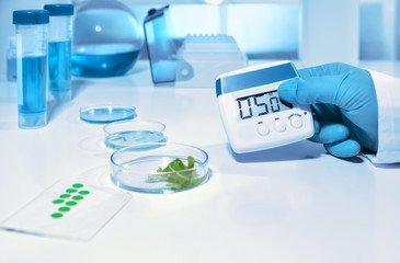 Biological or biochemical lab, closeup on gloved hand holding digital timer