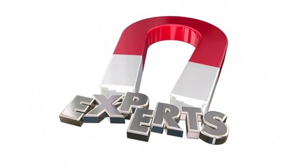 Experts Magnet Attracting Best Experienced Professionals 3d Animation