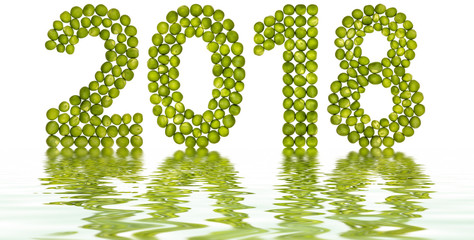 Numeral 2018 from green peas, reflection in water, isolated on white background