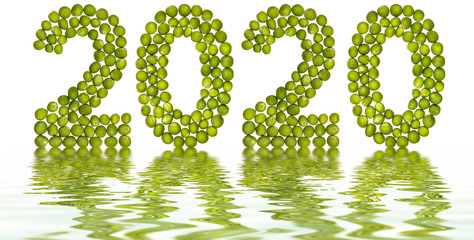Numeral 2020 from green peas, reflection in water, isolated on white background